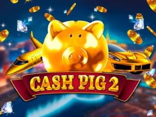 Cash Pig 2 game cover