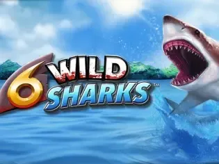6 Wild Sharks game cover