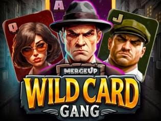 Wild Card Gang game cover